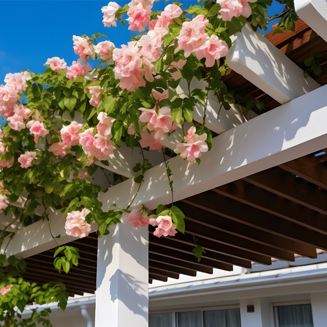 Plantas para una pérgola florida